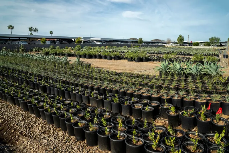 2024年常德乡村旅游采摘基地选型指南与对比分析
