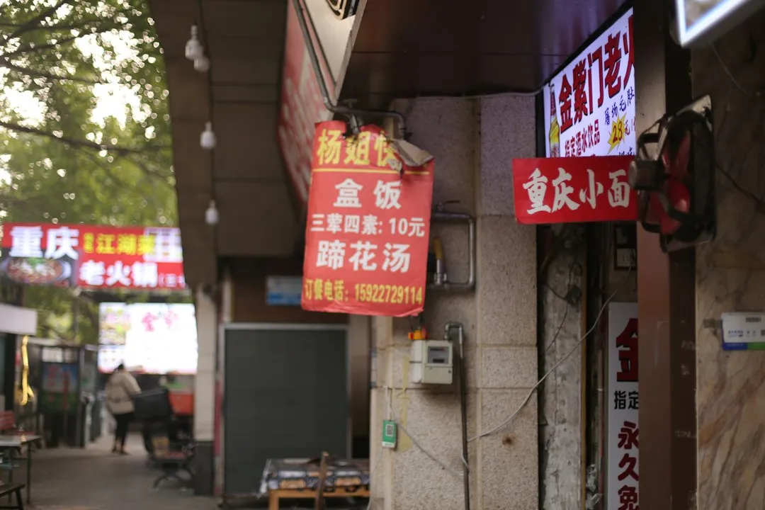 常德生态农业观光园规划设计要点与实施路径分析